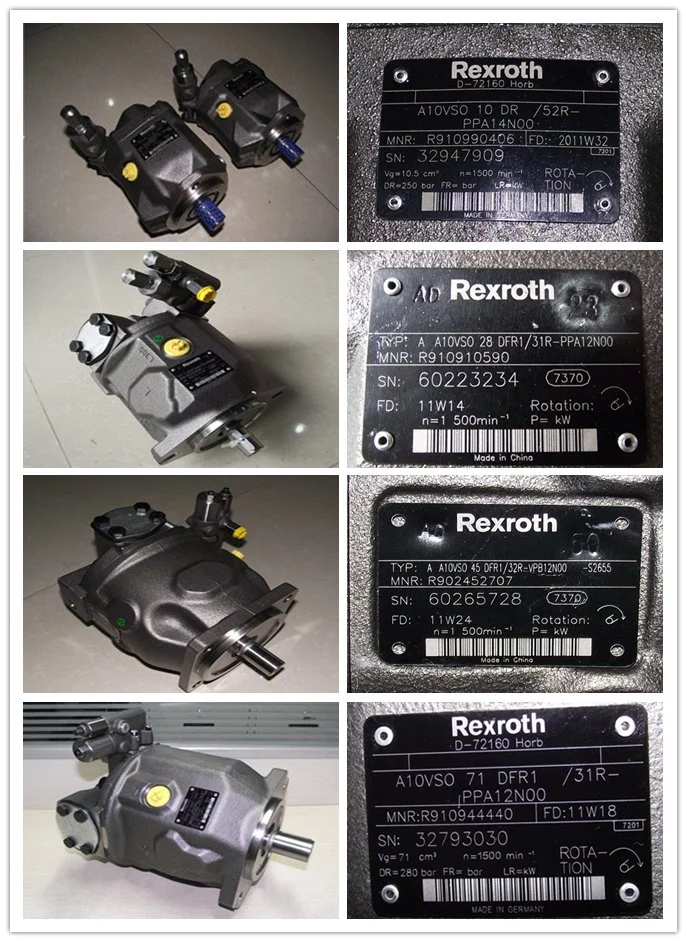 Rexroth Hydraulic Pump/Piston Pump/Pressure Pump/Oil Pump/Vane Pump/ Gear Pump/Excavator Pump for A2fo/A2FM/A4V/A6vm/A7vo/A10vso/A11V/PV7/Pg/A4fo